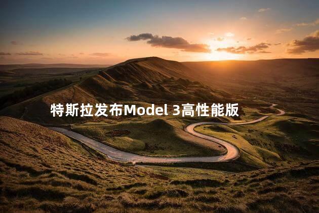 特斯拉发布Model 3高性能版